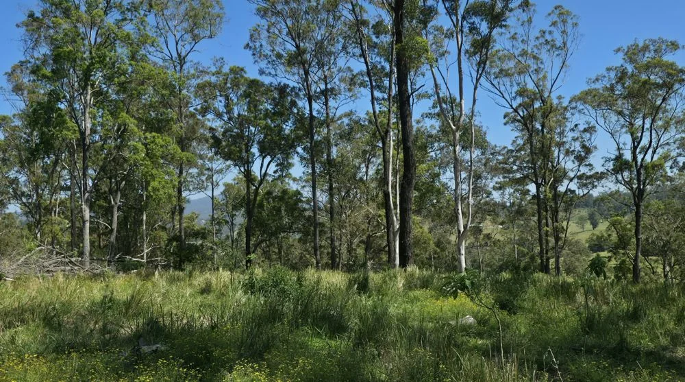 Additional image 4 of 1/310 Yessabah Rd, Yessabah NSW 2440