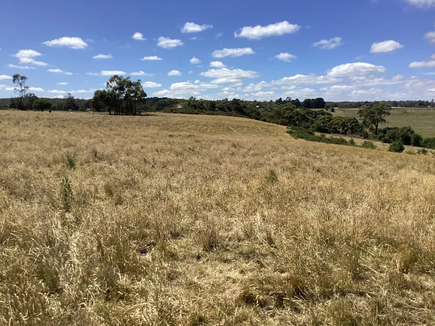 Additional image 7 of 10 & 10a Daniels Road, Scarsdale VIC 3351