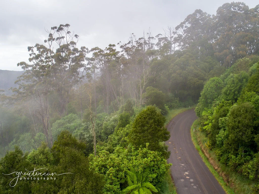 Additional image 11 of 19A, B & C Lavers Hill-Cobden Road, Lavers Hill VIC 3238