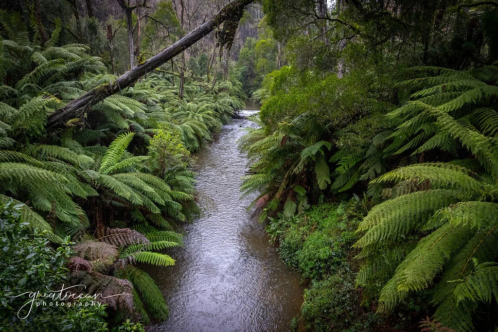 Additional image 12 of 19A, B & C Lavers Hill-Cobden Road, Lavers Hill VIC 3238