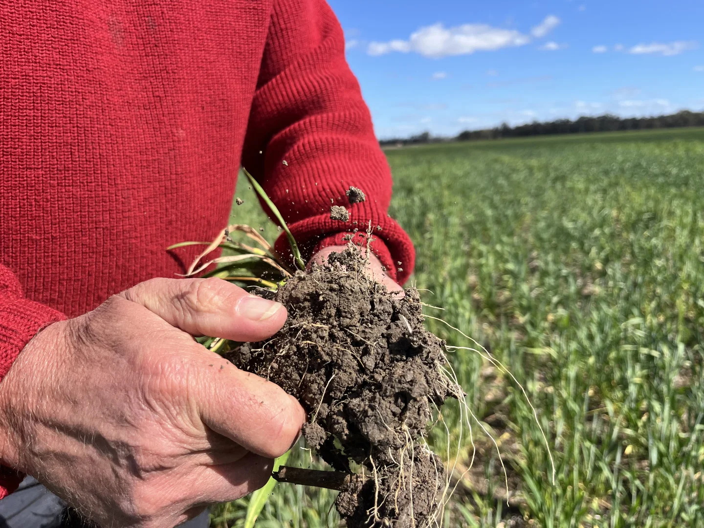 Additional image 30 of 4005 Lachlan Valley Way, Forbes NSW 2871