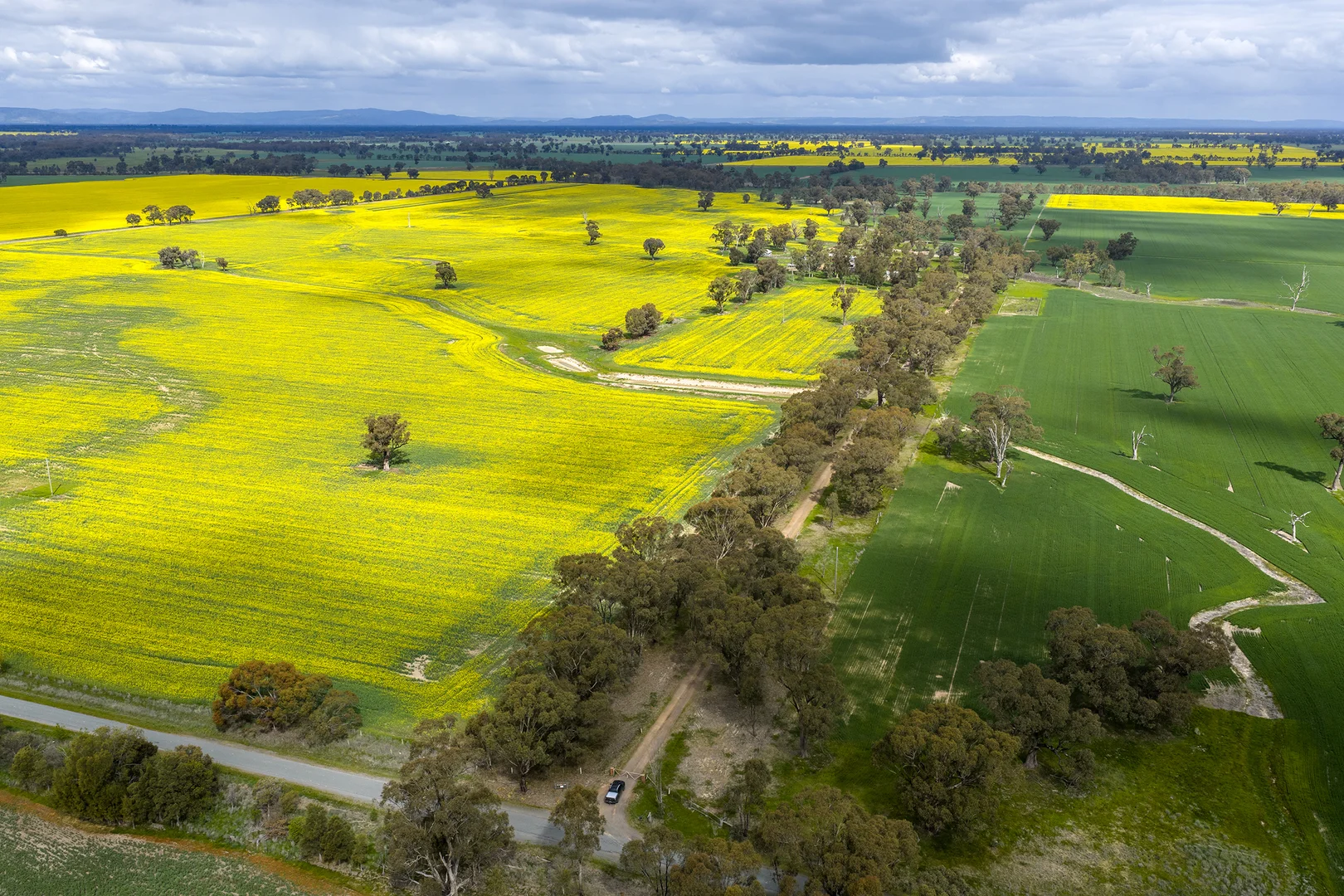 Additional image 4 of 250 Karramomus Road, Arcadia VIC 3631
