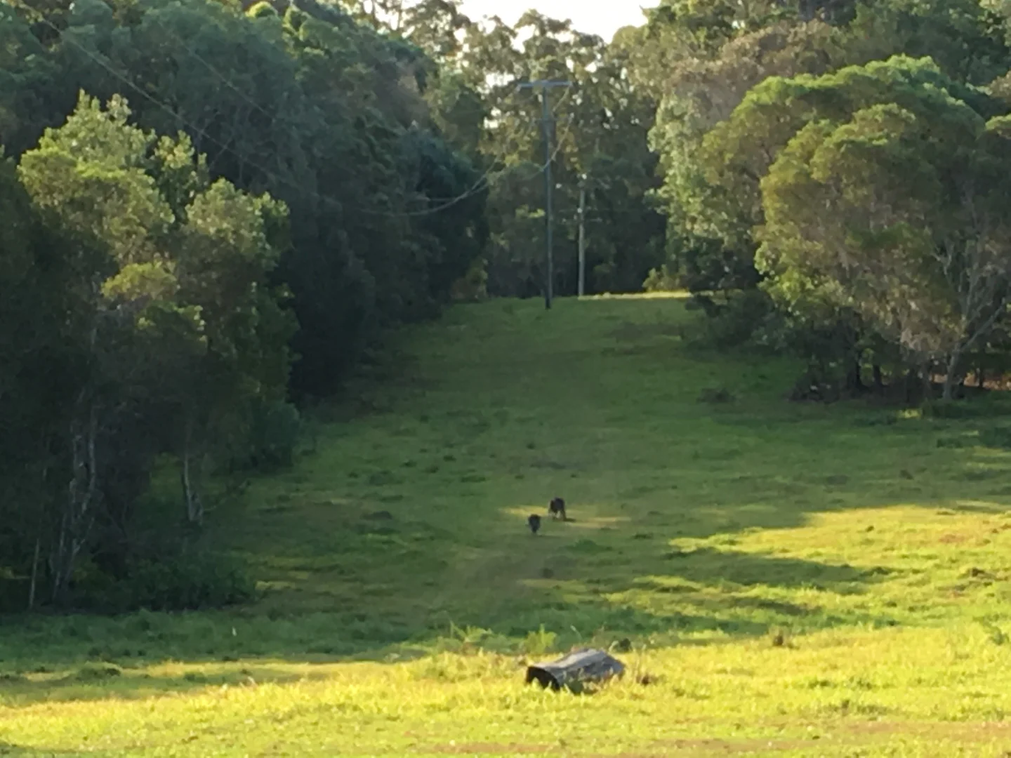 Additional image 3 of Cootharaba QLD 4565