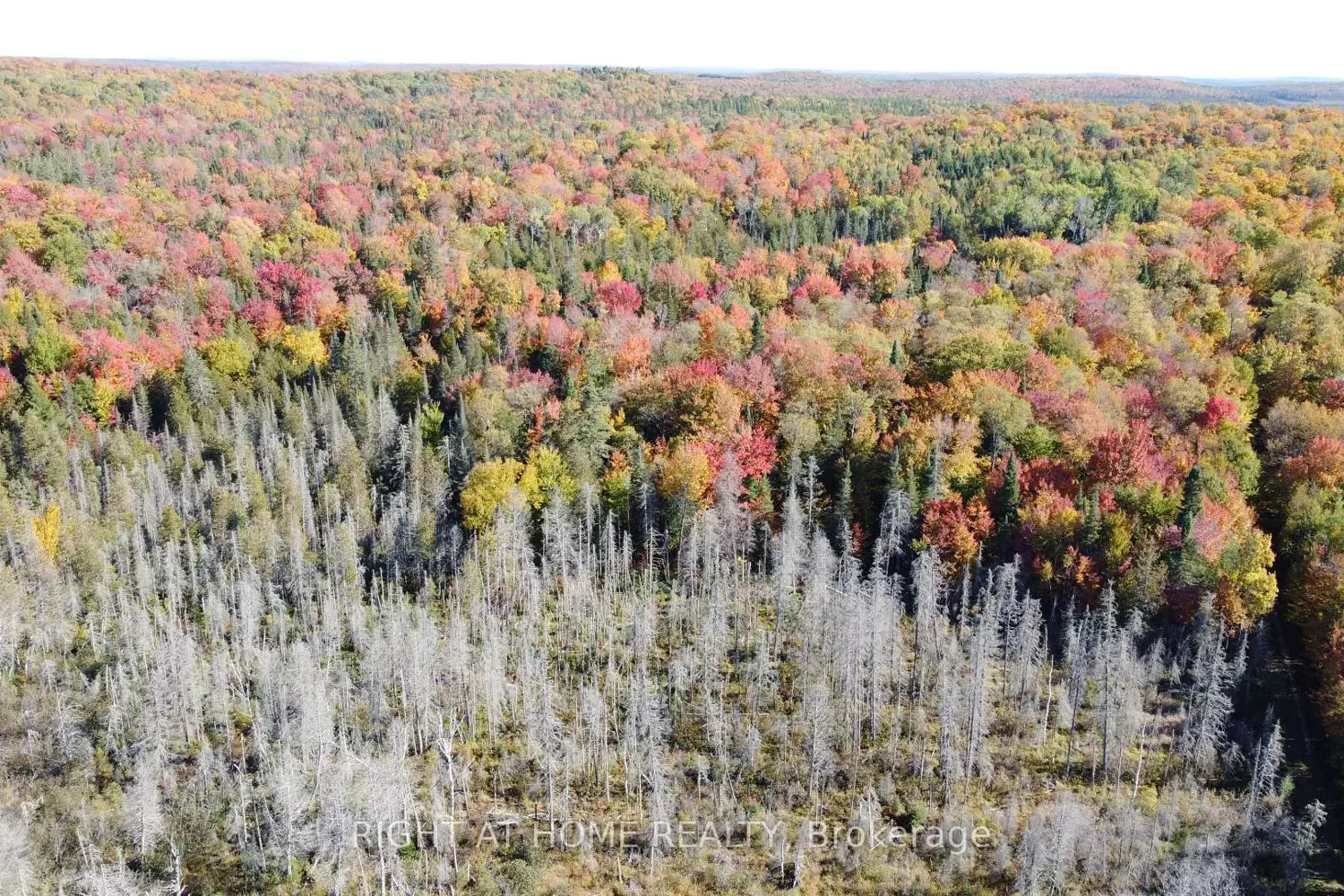 Additional image 4 of 2087 Machar Strong Boundry Road