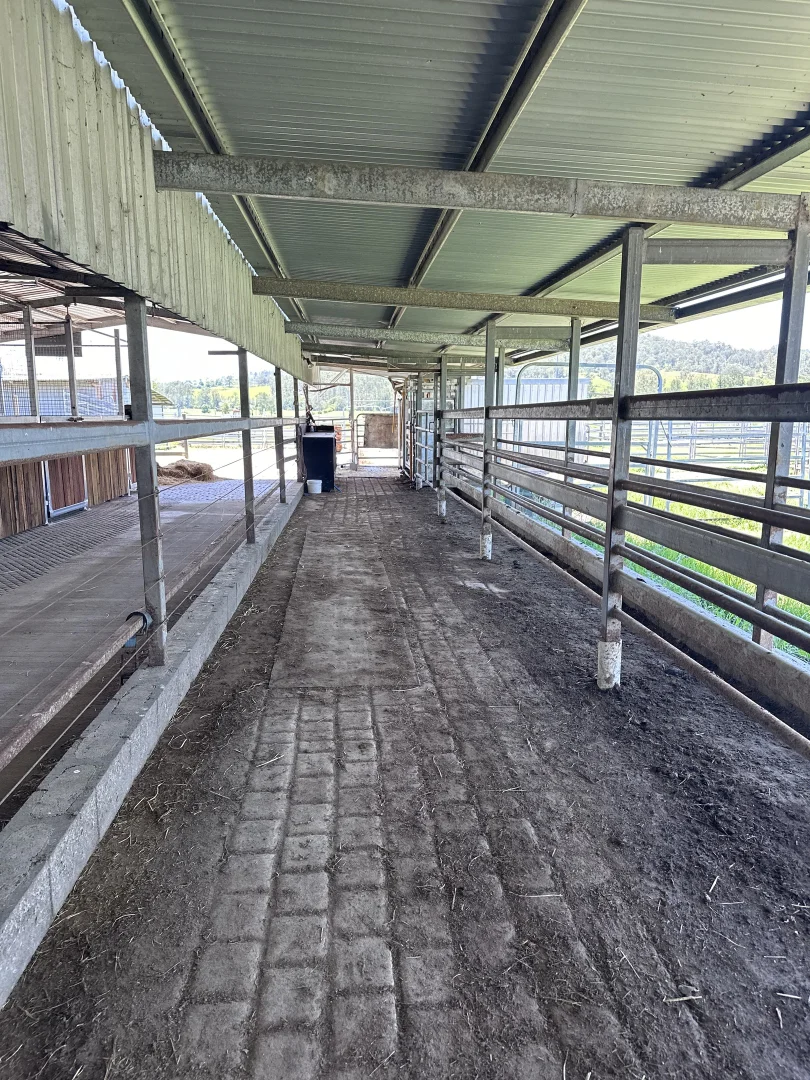 Additional image 16 of 119 Duck Creek Road, Old Bonalbo NSW 2469