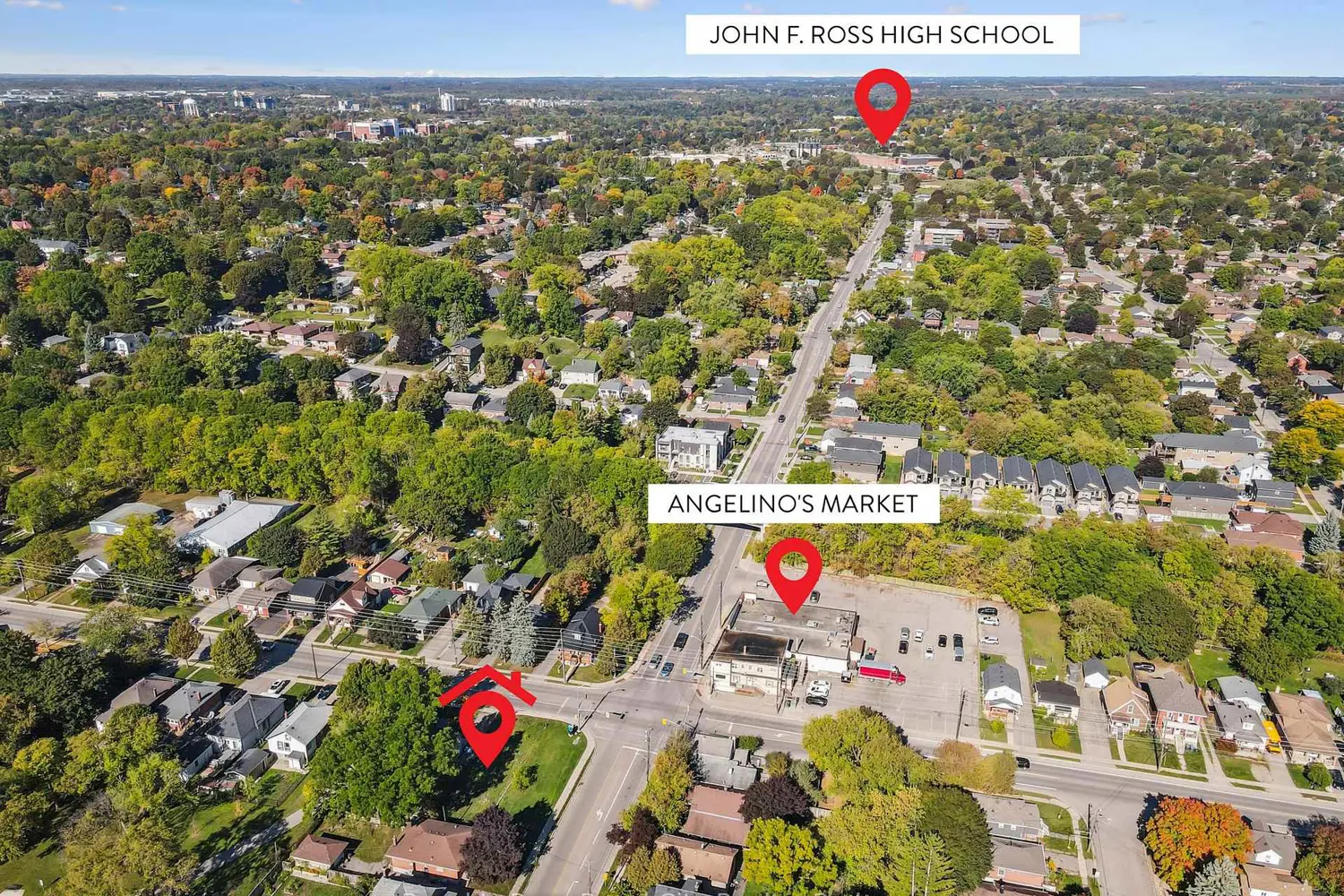 Additional image 13 of 239 Elizabeth Street