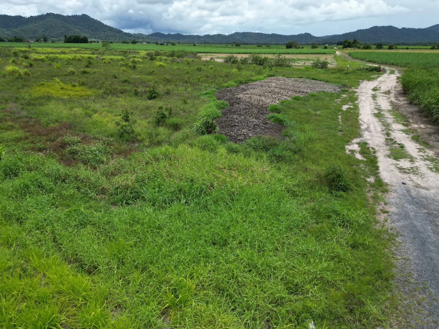 Additional image 8 of 155 Bruce Highway, Feluga QLD 4854