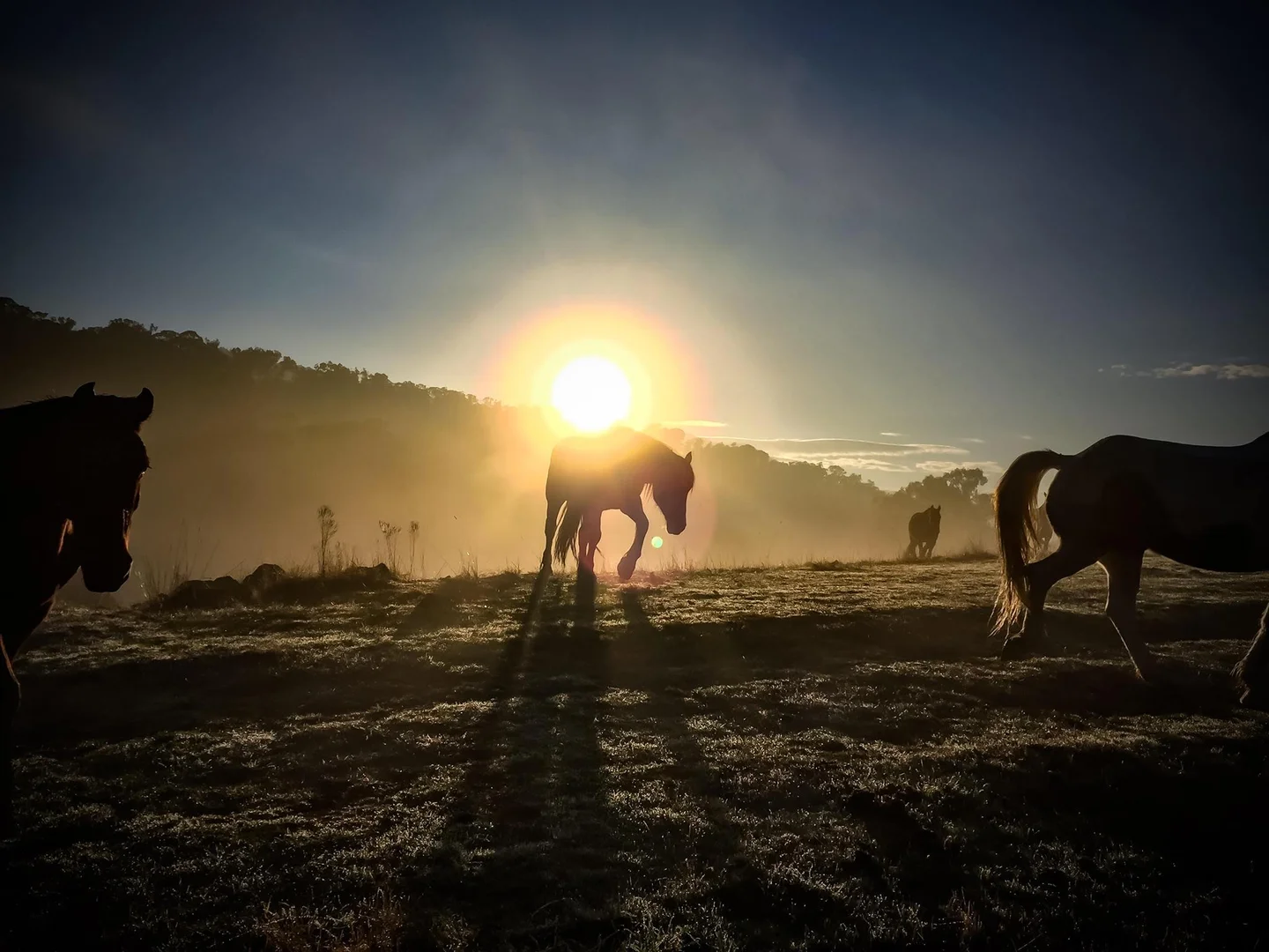 Additional image 6 of Lot 12/61 Spring Street, Howqua Hills VIC 3723