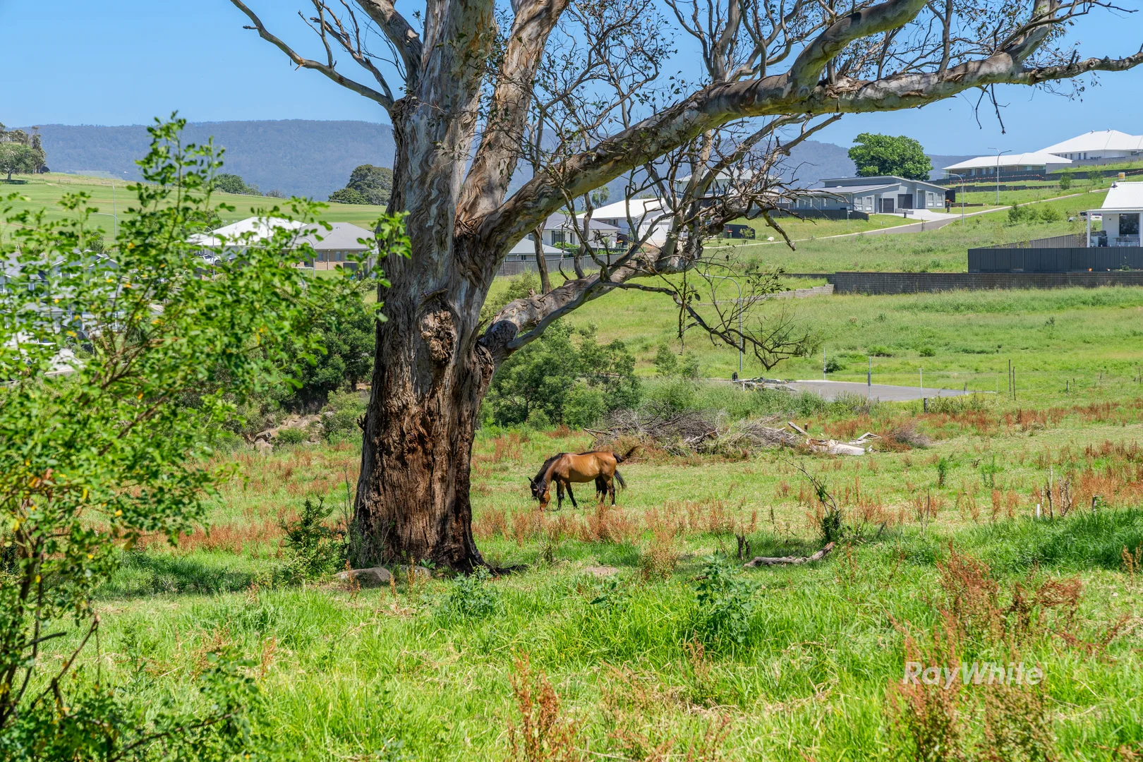 Additional image 28 of 8 Valley View Close, Milton NSW 2538