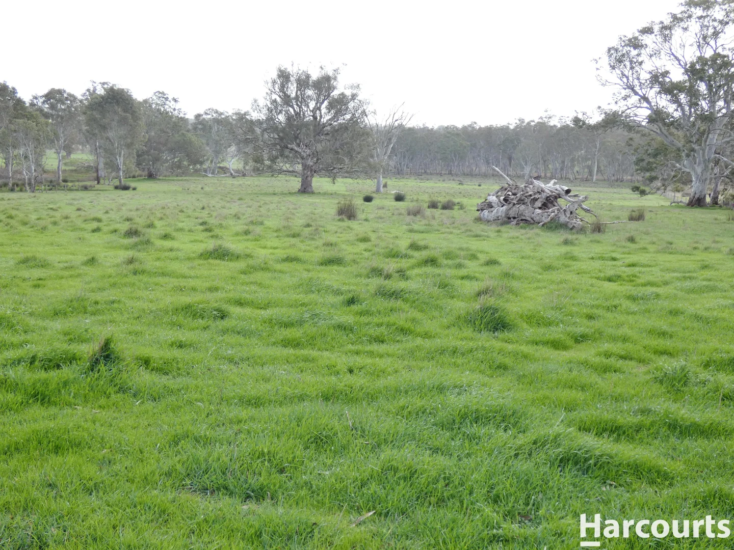 Additional image 20 of 1790 Harrow-Balmoral Road, Balmoral VIC 3407