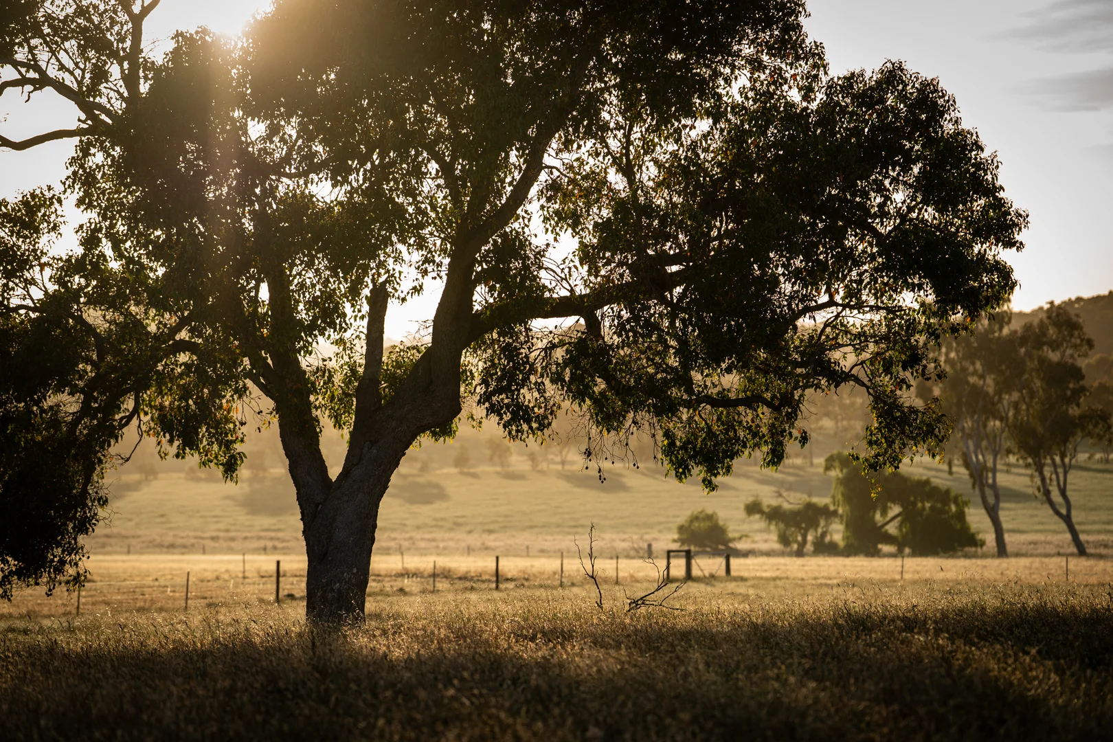 Additional image 18 of 89 Worgan Road, Metricup WA 6280