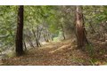 Additional image 37 of 1000 Harmon Gulch Rd, Boulder Creek, CA, 95006