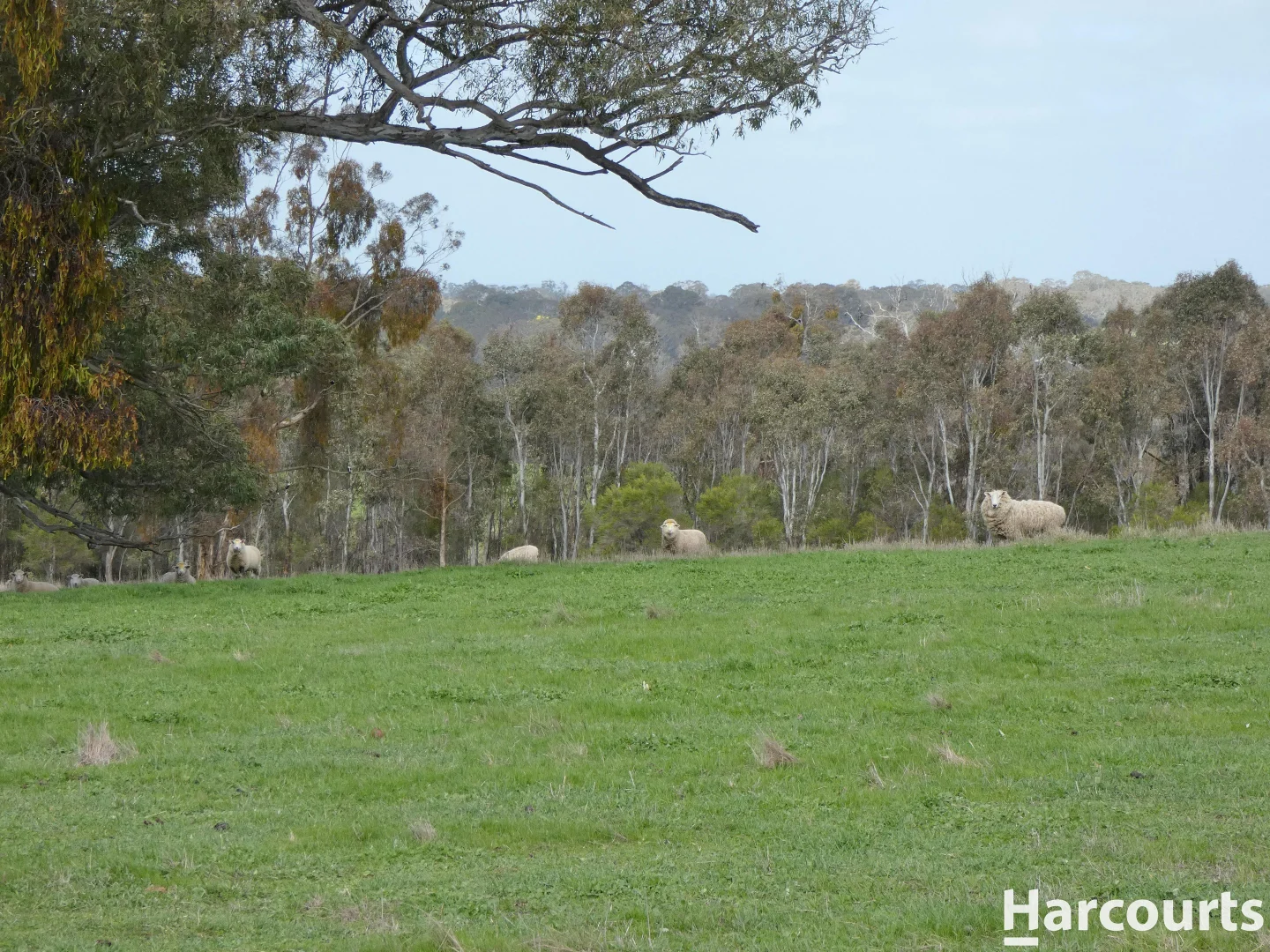 Additional image 4 of 1790 Harrow-Balmoral Road, Balmoral VIC 3407