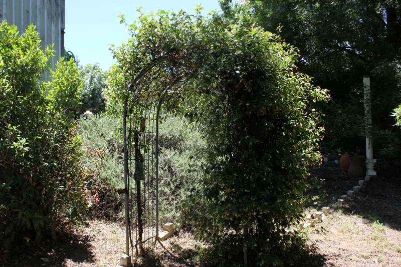 Additional image 12 of 25 Crane Street, Warialda NSW 2402