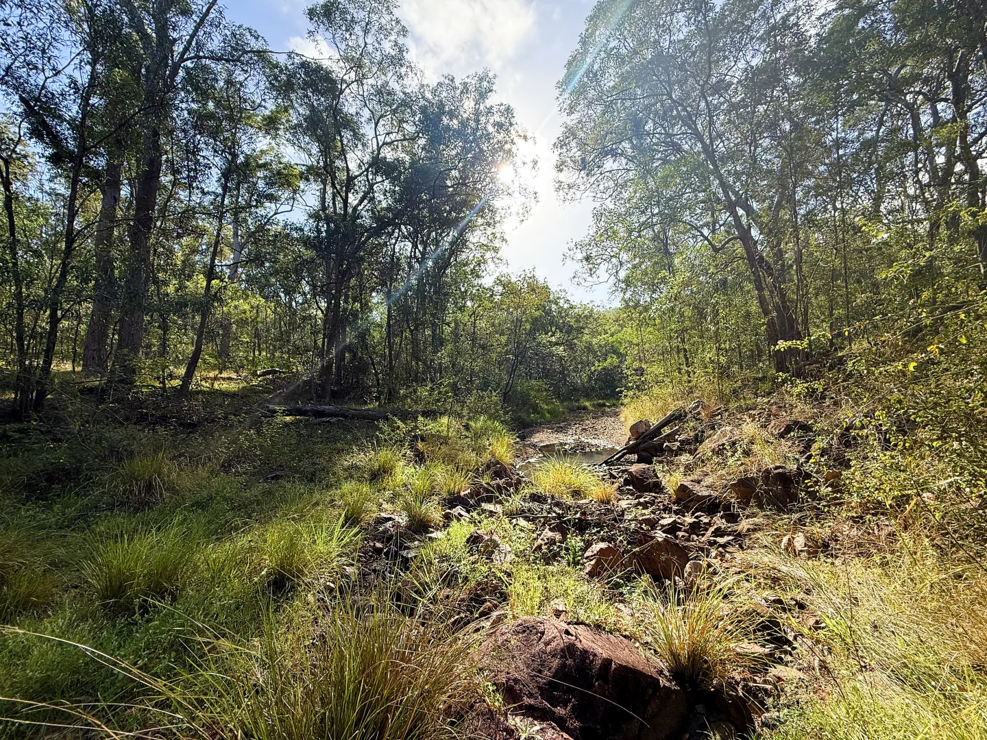 Additional image 9 of Lot 10/931 Nearum Road, Nearum QLD 4671