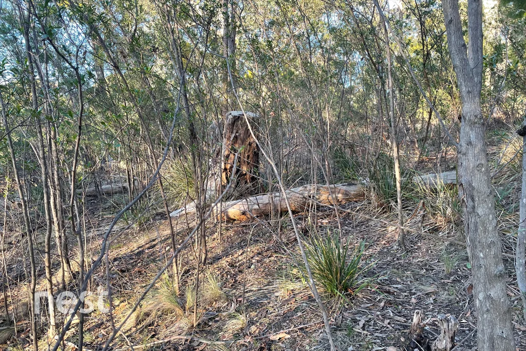 Additional image 7 of 31 Stewart Crescent, Taroona TAS 7053