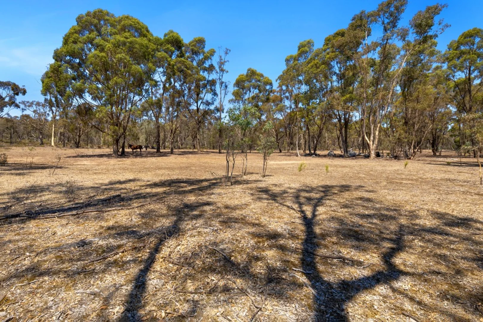 Additional image 15 of 745 Lillicur Road, Lillicur VIC 3371