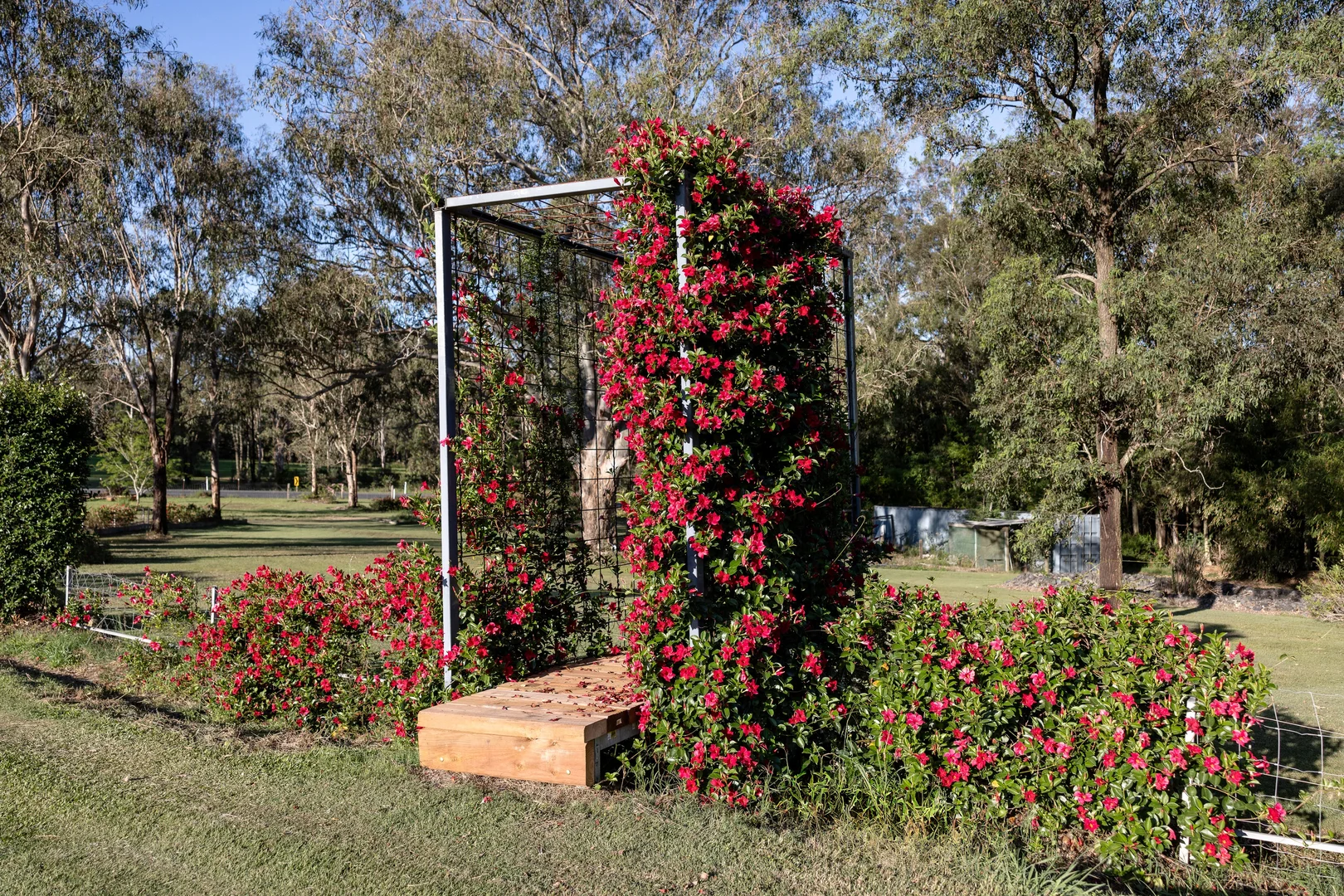 Additional image 29 of 8 Bull Hill Road, Tinonee NSW 2430