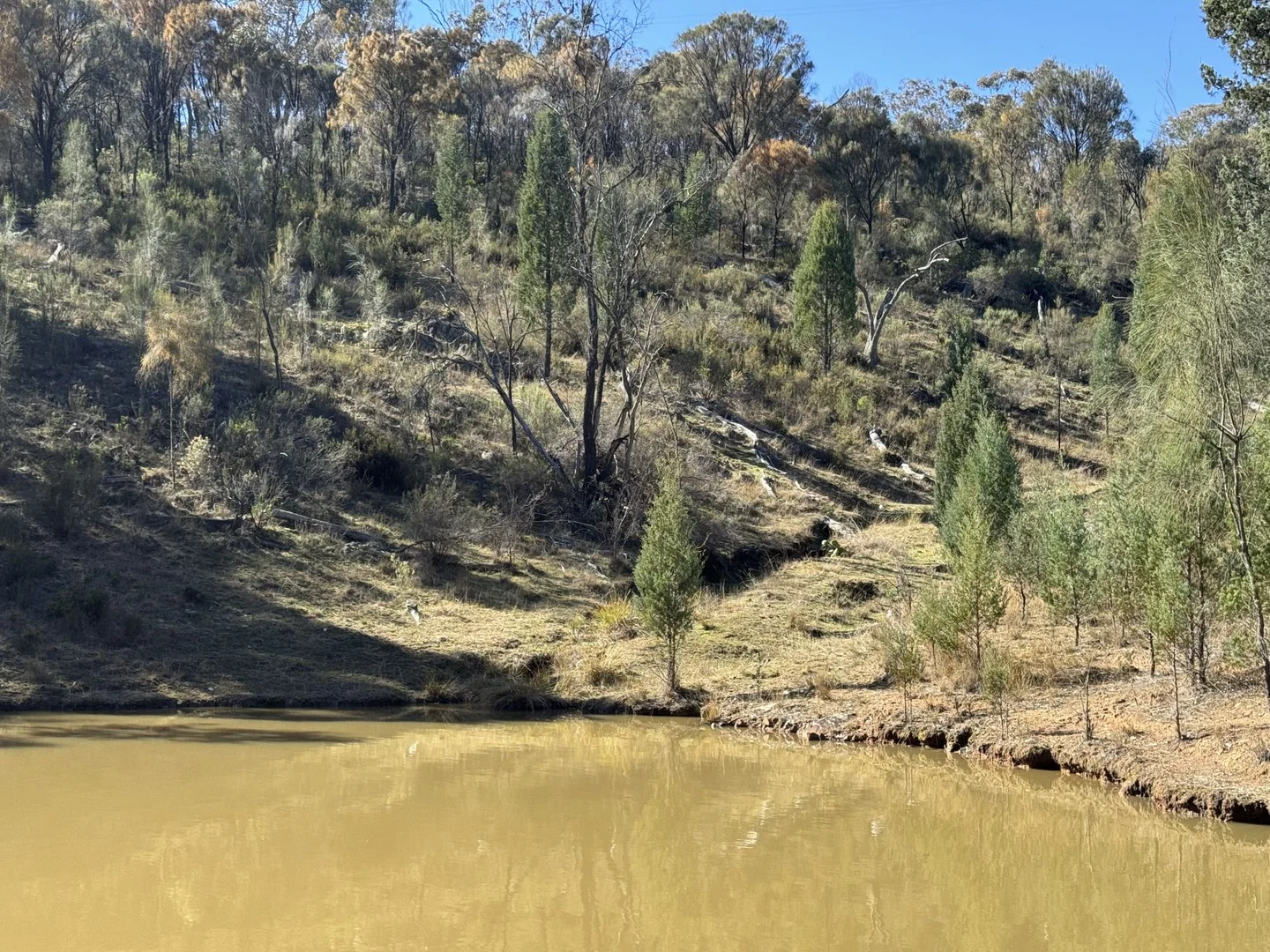 Additional image 4 of 206 Roberts Road, Mudgee NSW 2850