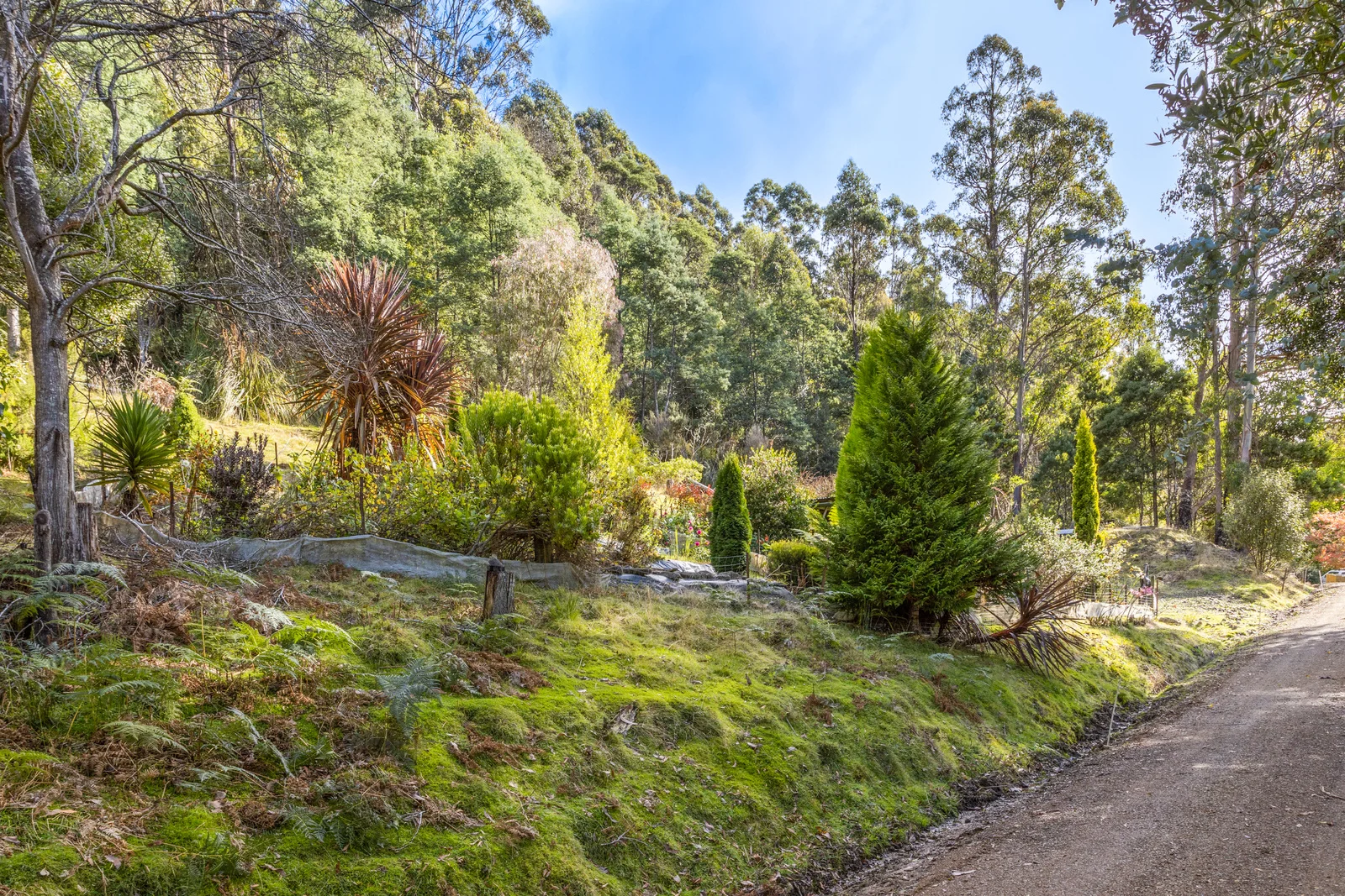 Additional image 4 of 1 Smiths Road, Nicholls Rivulet TAS 7112