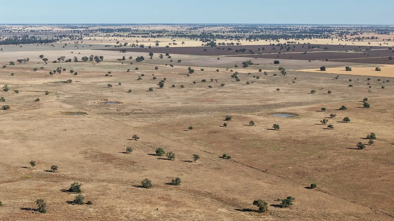 Additional image 9 of 128 Berida-Bullagreen Road, Collie NSW 2827