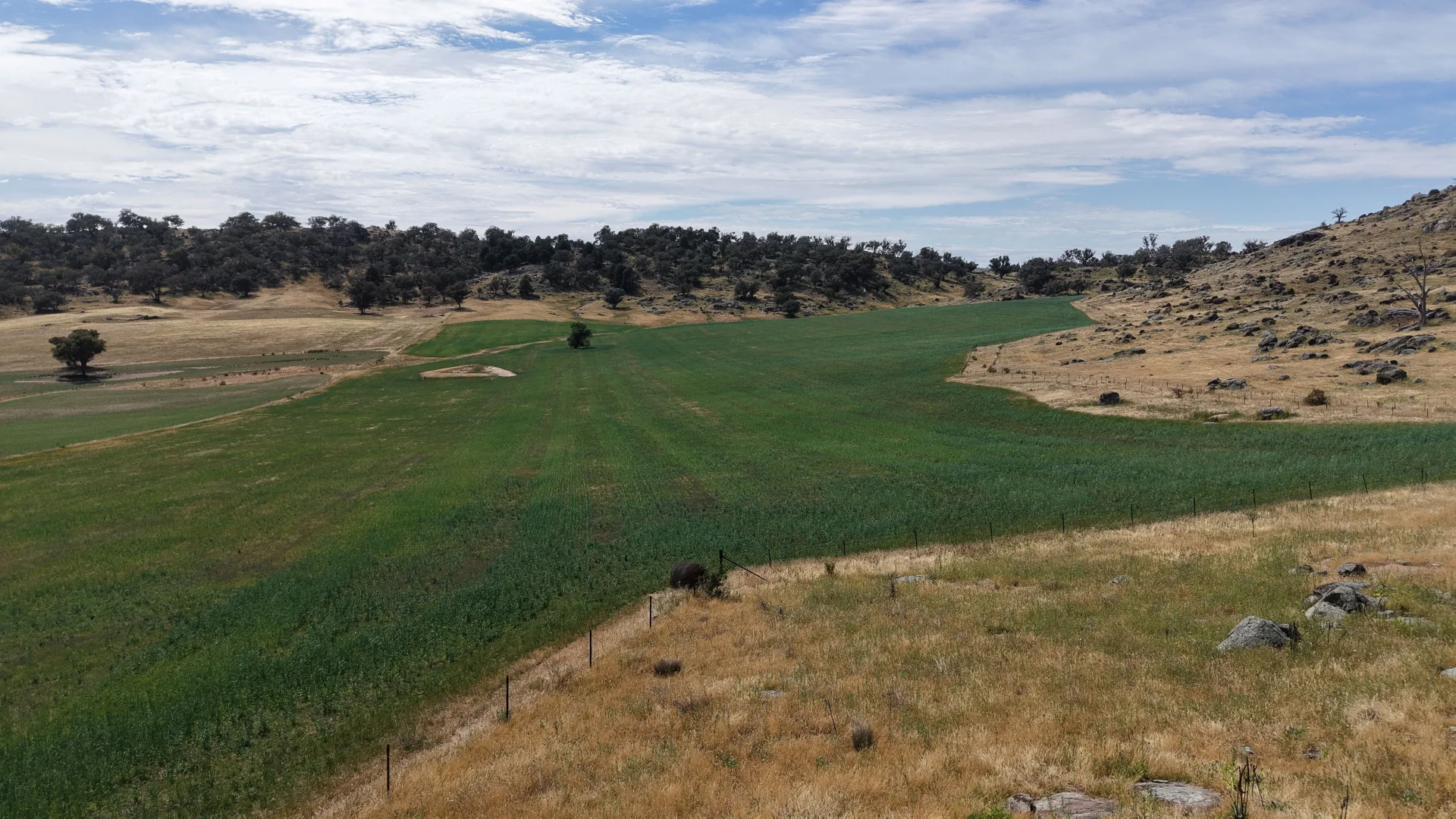 Additional image 12 of Lachlan View, 395 Battery Road, Cowra NSW 2794