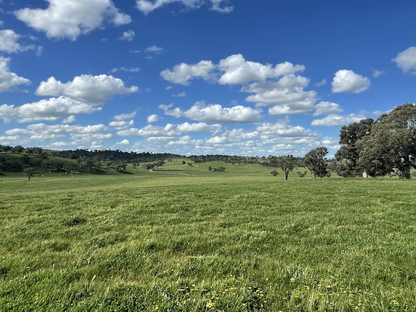 Additional image 4 of Lot Lot 4-5/3 Cooney's Creek Road, Jugiong NSW 2726