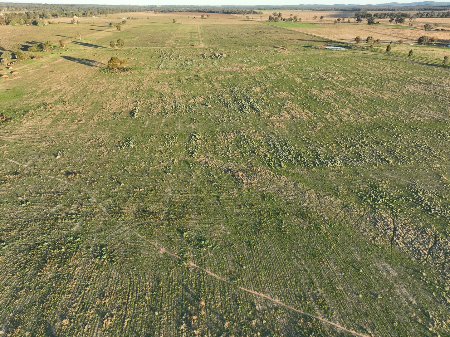 Additional image 19 of 'Westdale' 169L Narromine Road, Dubbo NSW 2830