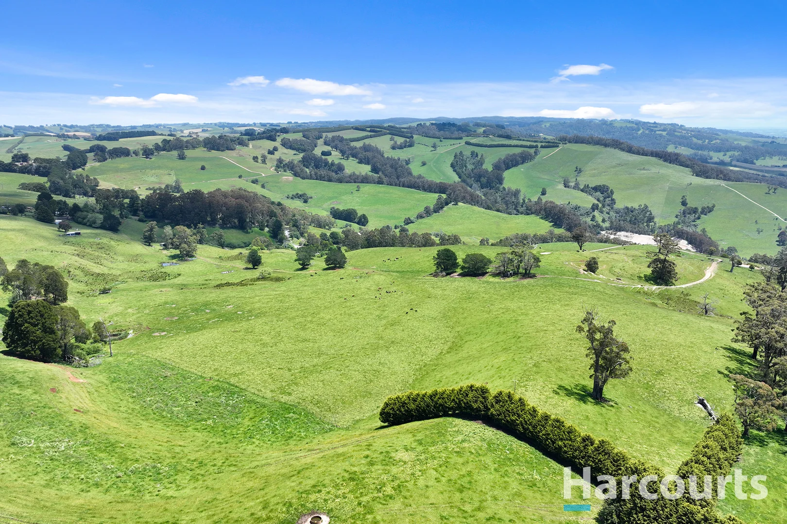 Additional image 6 of 1246 Trafalgar Thorpdale Road, Trafalgar South VIC 3824