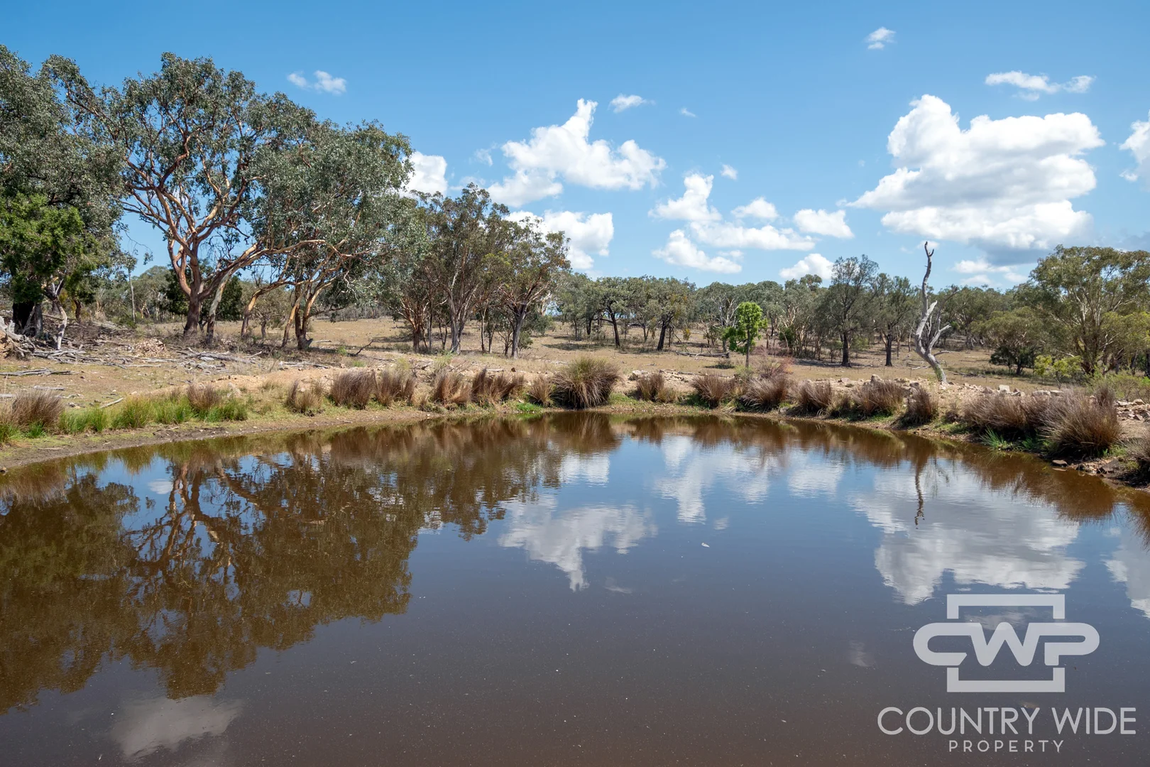 Additional image 10 of 75, - Gulf Rd, Emmaville NSW 2371