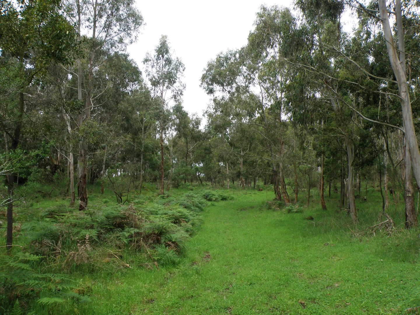 Additional image 10 of 289 Rands Road, Pomborneit North VIC 3260