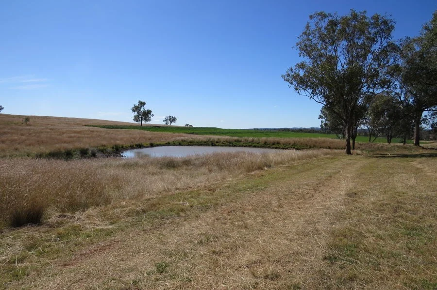 Additional image 7 of 329 Pickfords Road, Yetman NSW 2410