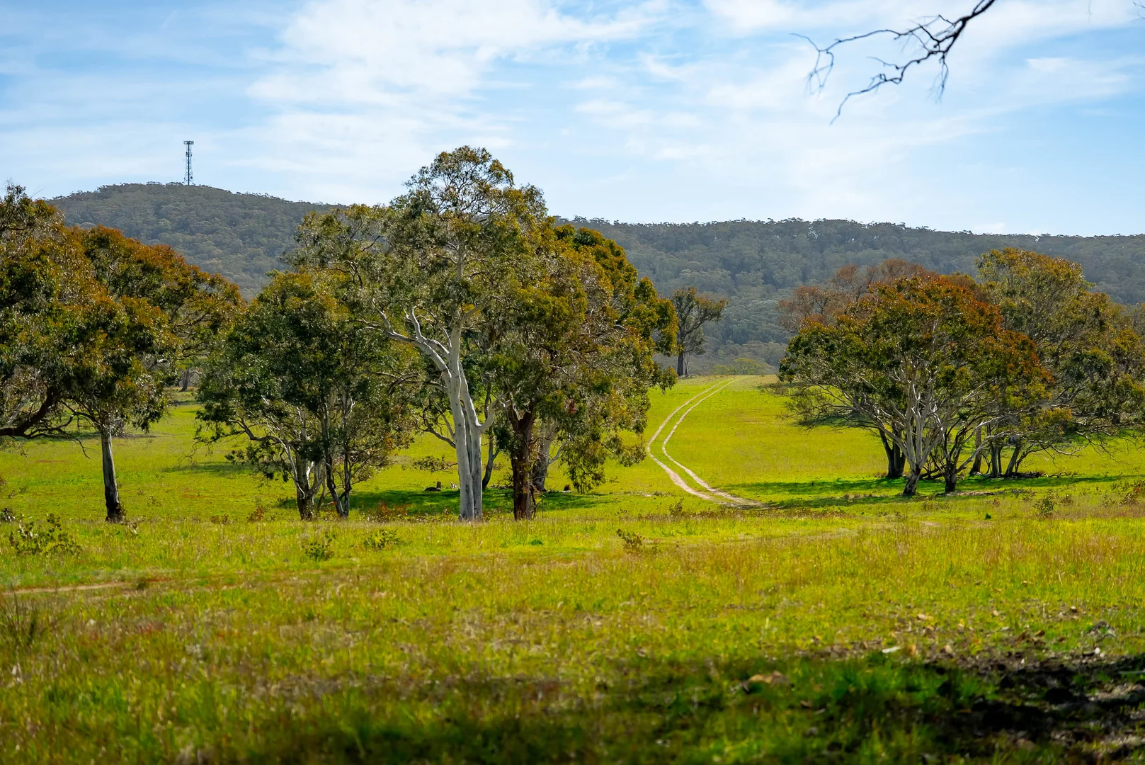 Additional image 21 of 276 Currawang Road, Goulburn NSW 2580