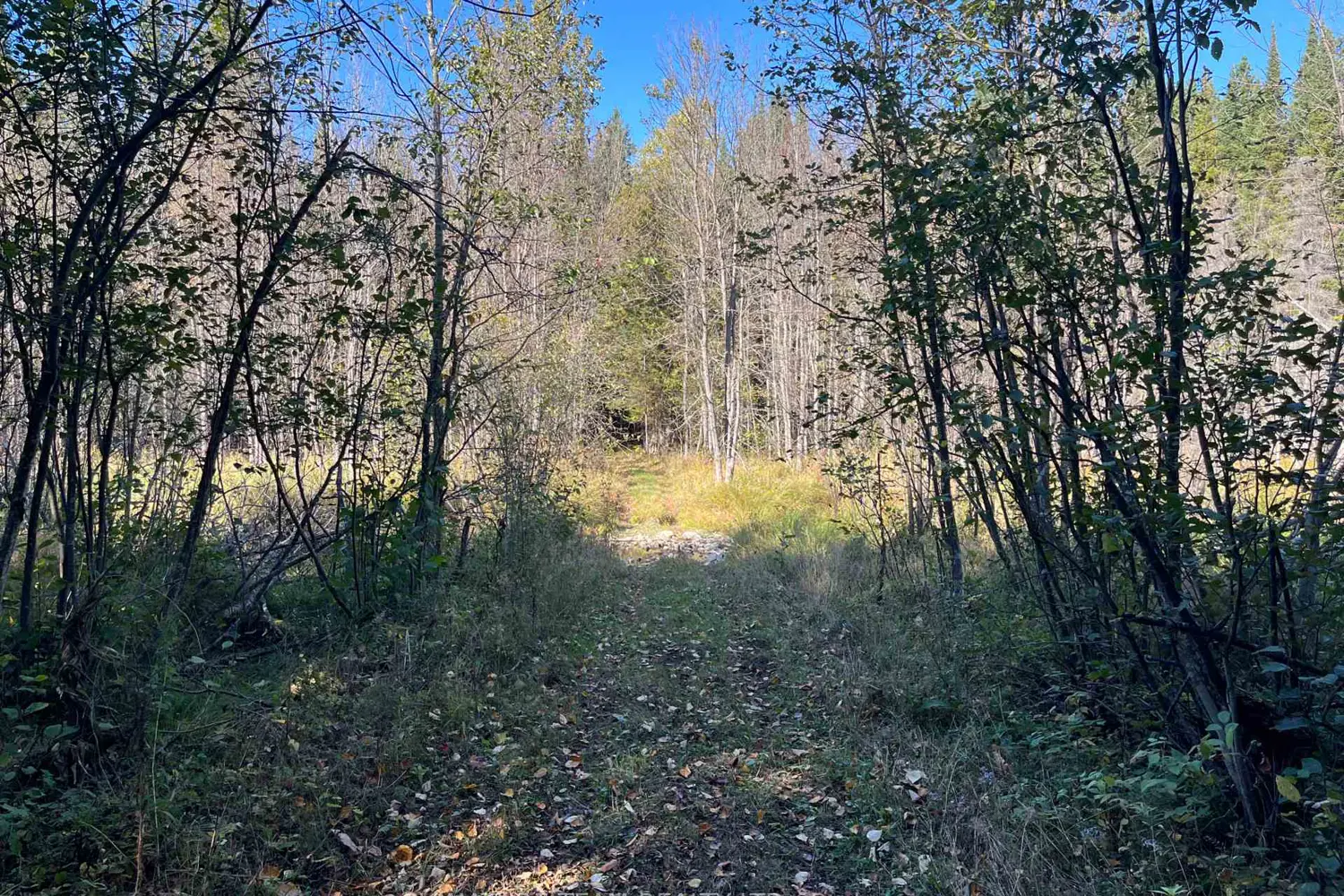 Additional image 14 of 0 Minnie Road