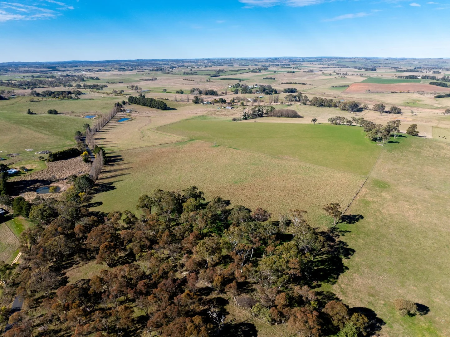 706-709 Beneree Road, Forest Reefs NSW 2798