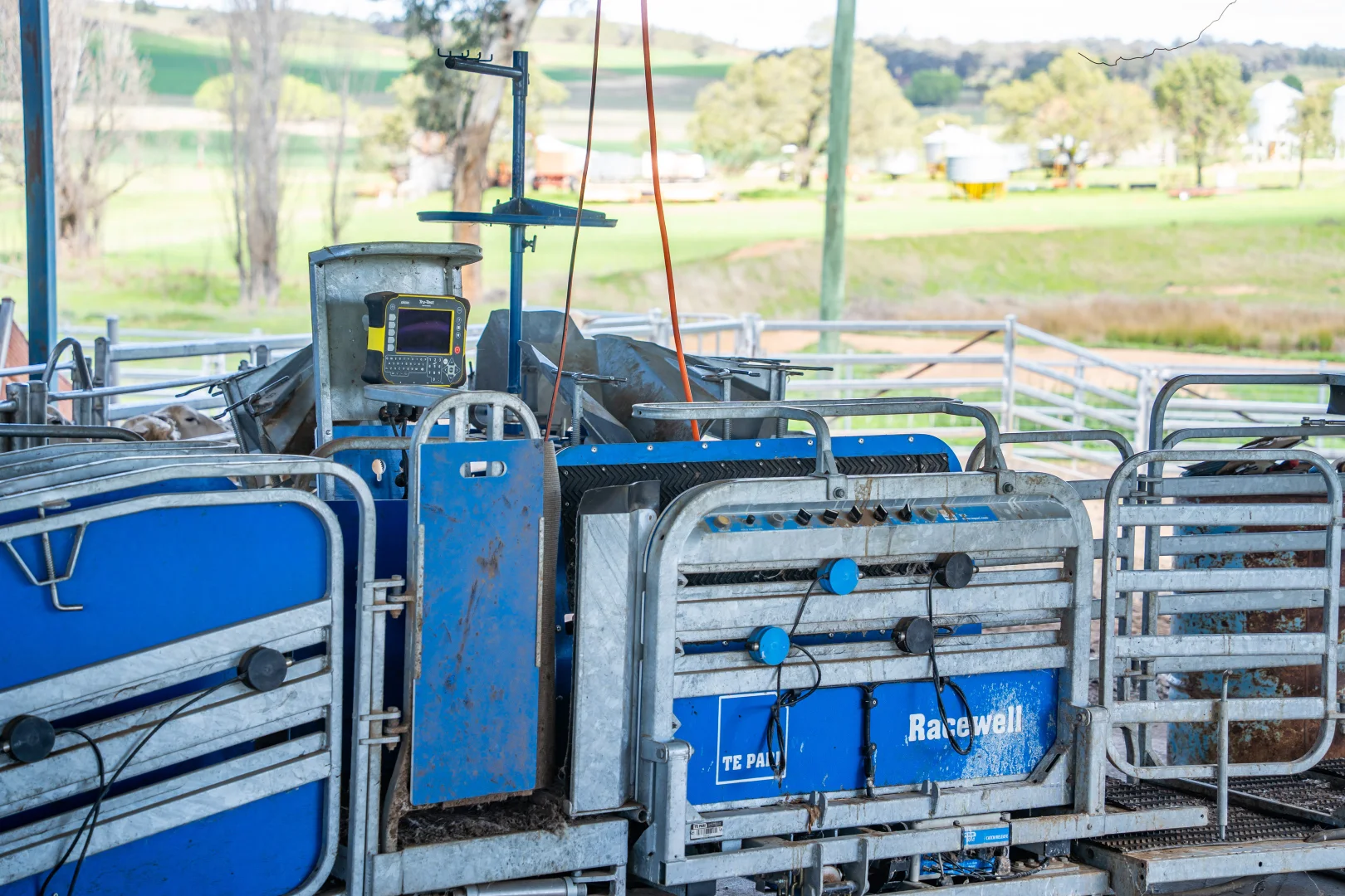 Additional image 22 of 100 Grahams Lane, Grenfell NSW 2810