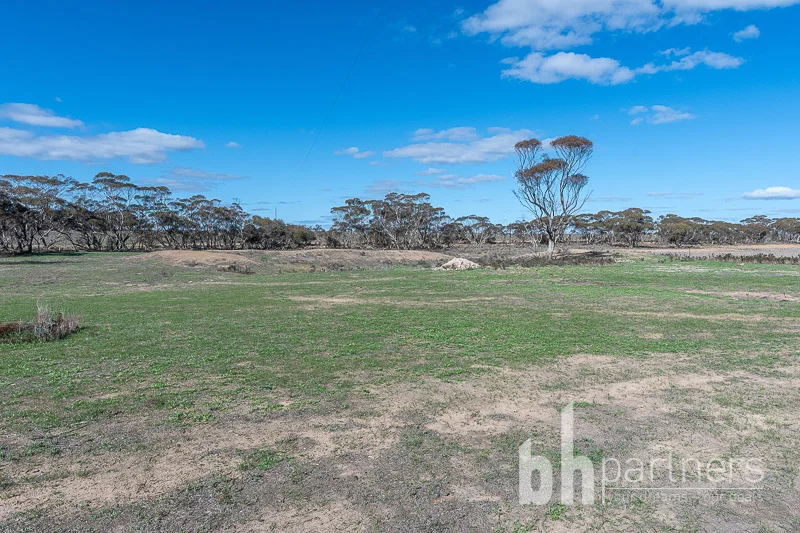 Additional image 24 of 89 Schroeder Road, Cambrai SA 5353