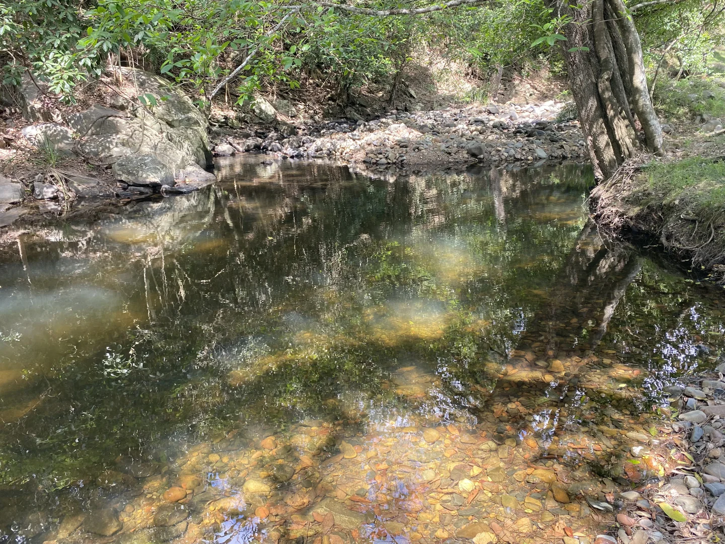 Additional image 6 of 343 Berrico Creek Road, Gloucester NSW 2422