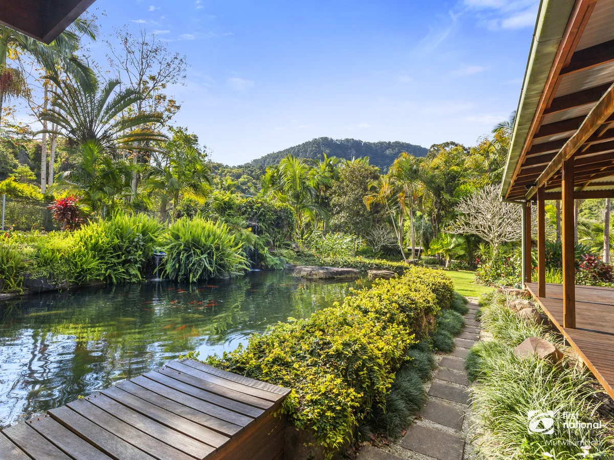 Additional image 13 of 39 Solomons Road, Mount Warning NSW 2484