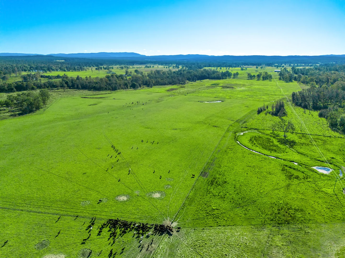 Additional image 4 of 160 Busbys Flat Road, Leeville NSW 2470