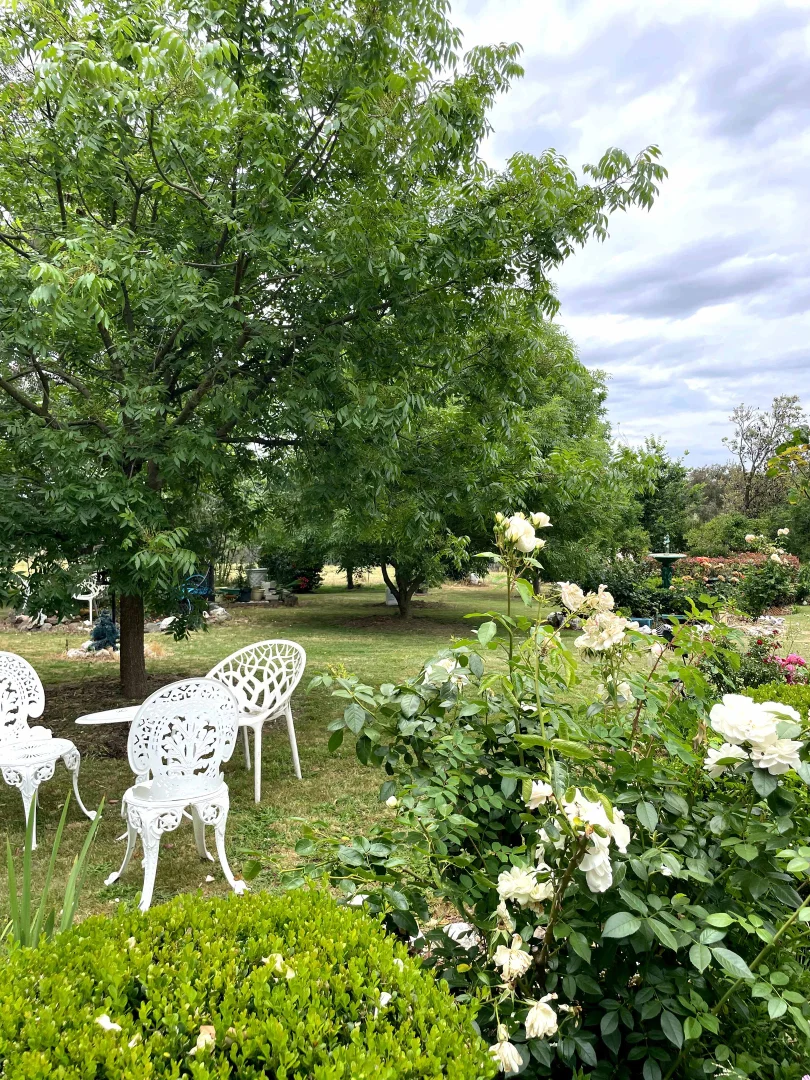 Additional image 6 of "Abbyville" 90 Convent Lane, Borenore NSW 2800