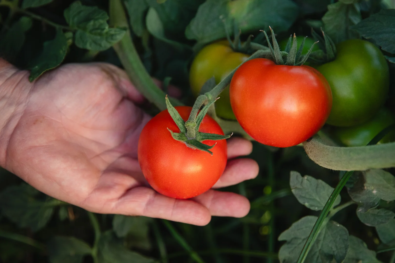 Additional image 4 of 37 Inveroona Road, Bowen QLD 4805