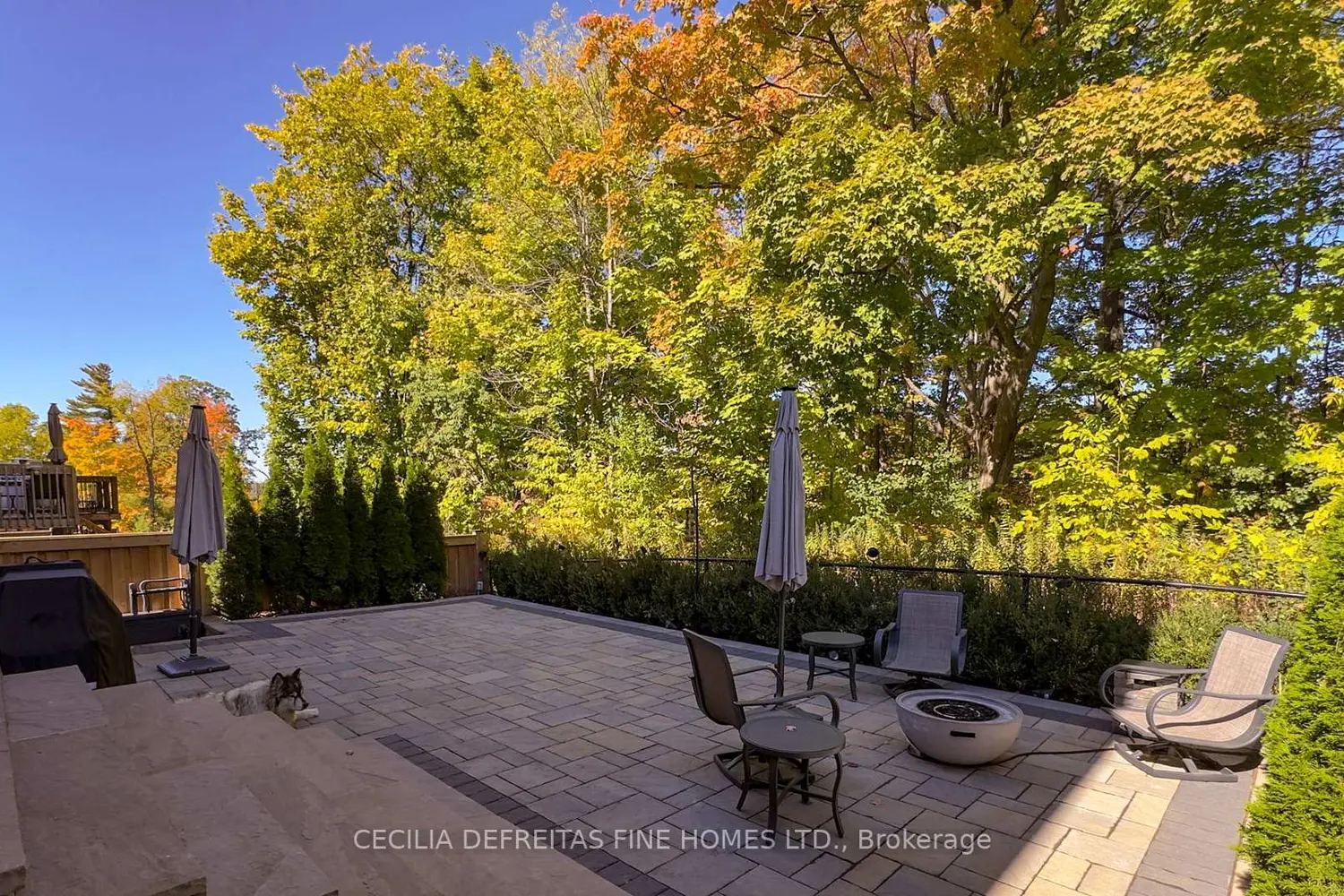 Additional image 17 of 6 Orwell Drive