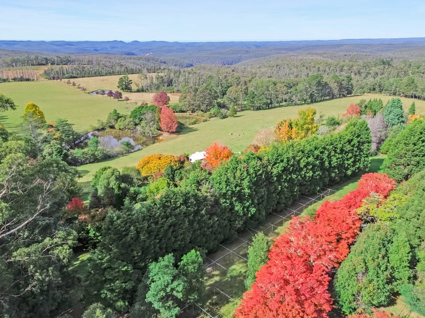 92 Powells Road, Bilpin NSW 2758