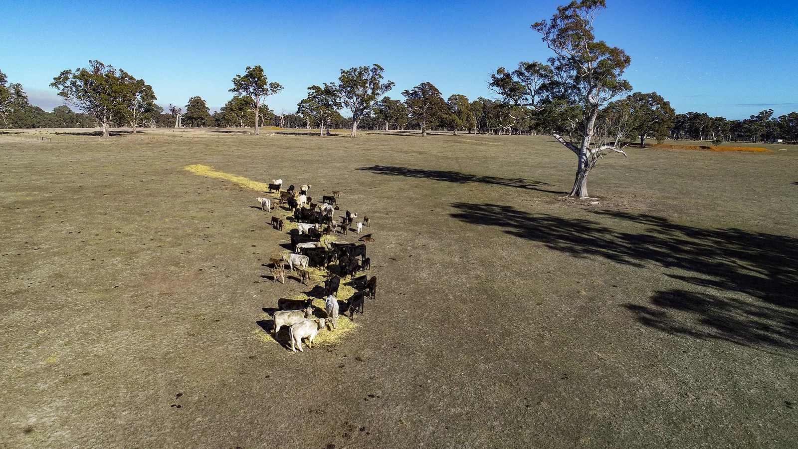 Additional image 4 of 1 & 3 Dergholm-Chetwynd Road, Dergholm VIC 3312