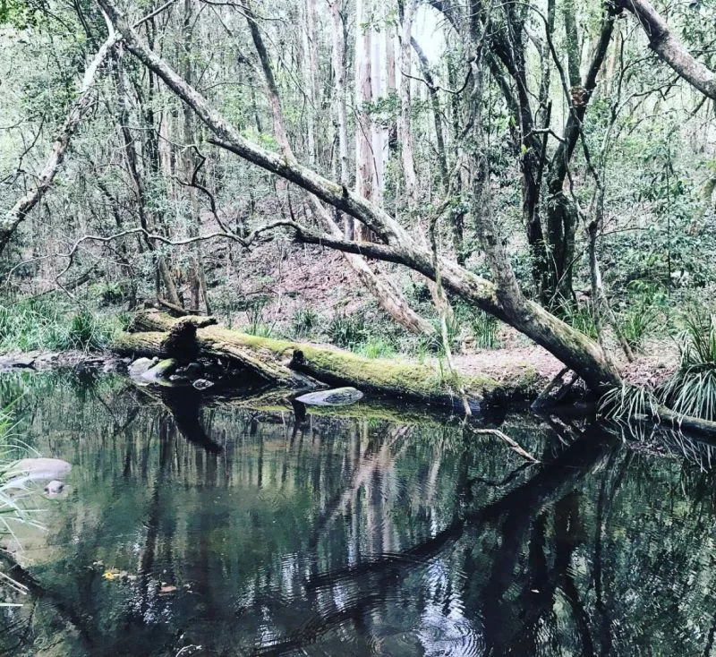 Additional image 16 of Bandon Grove NSW 2420