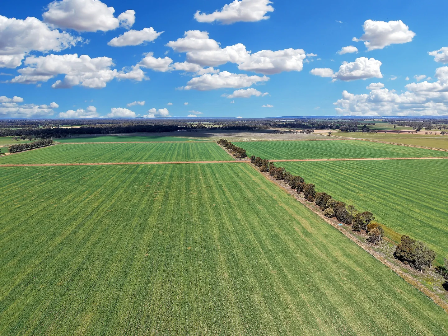 Additional image 29 of 4005 Lachlan Valley Way, Forbes NSW 2871