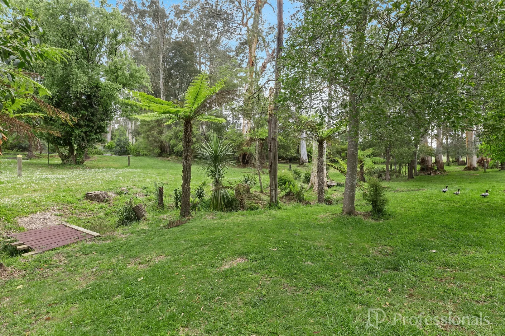Additional image 9 of 15 Anglers Drive, East Warburton VIC 3799
