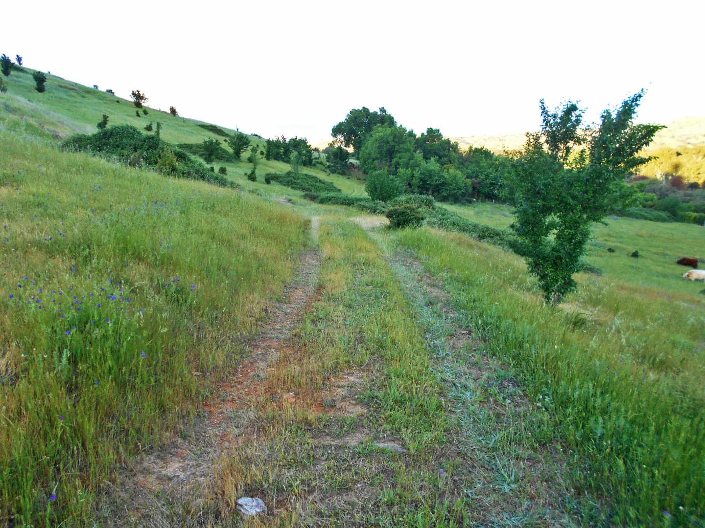 Additional image 22 of 30 Hanley & Moon Street, Gundagai NSW 2722