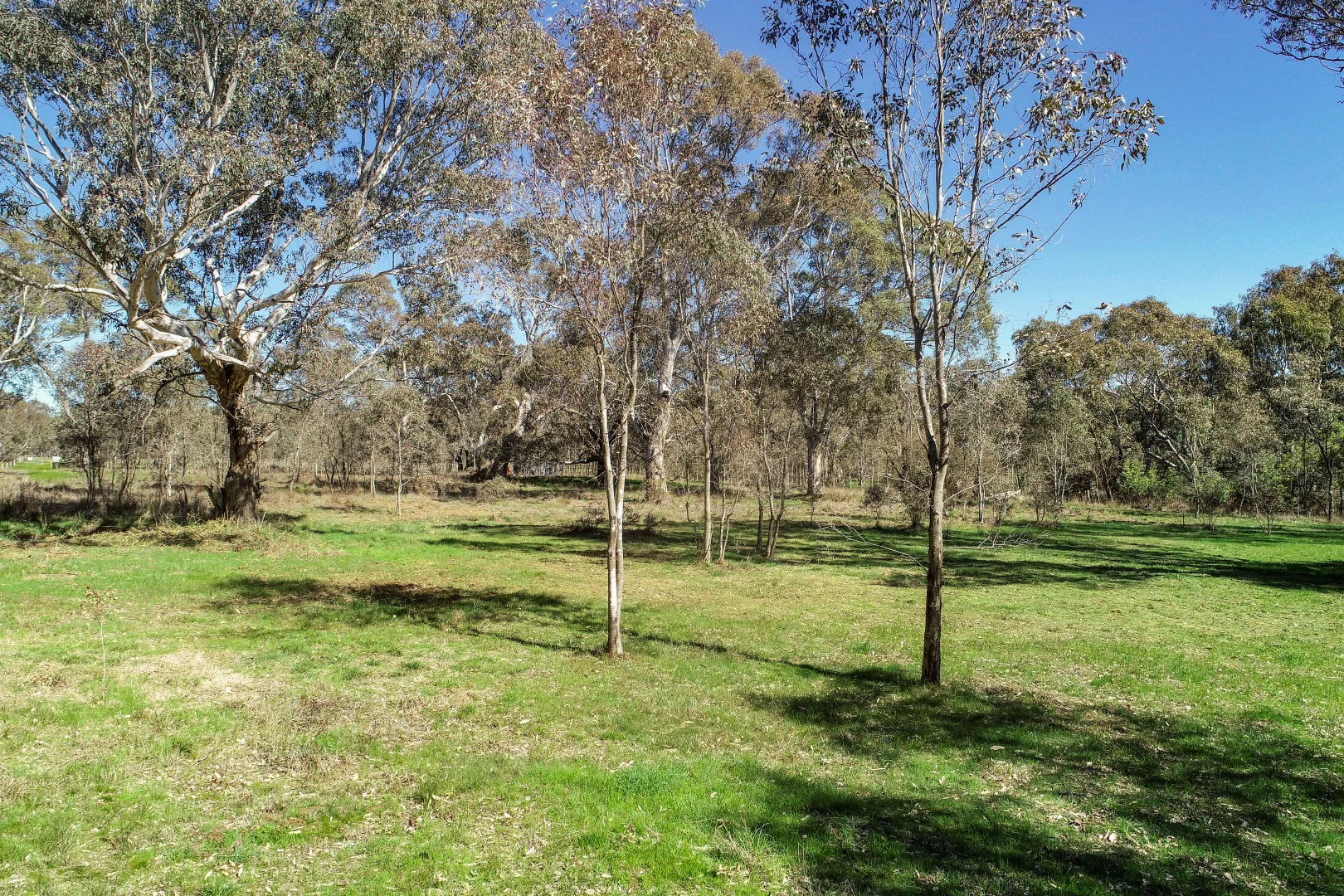 Additional image 7 of 8211 Maroondah Highway, Merton VIC 3715